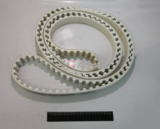 Зубчатый ремень 38.1XH-4289.425+2PU