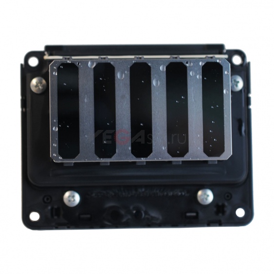 Печатная голова Epson R4900 / R4910 / SPE4910 - F198000 / F198060 / FA12081
