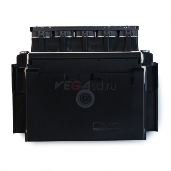 Печатная голова Epson R4900 / R4910 / SPE4910 - F198000 / F198060 / FA12081