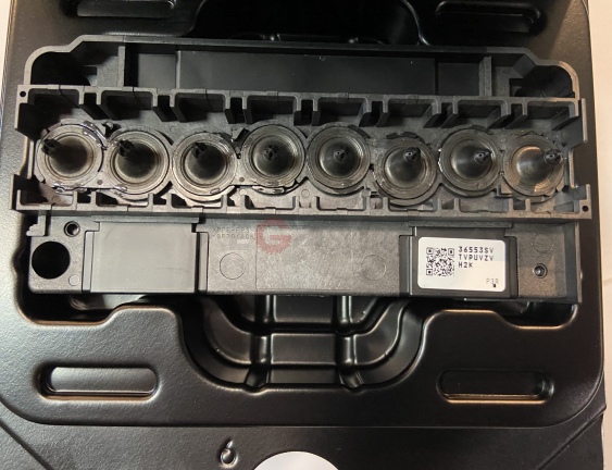 F1440-A1/PHMJV33S Печатающая головка сольвентная Epson DX-5 (некодированная) для плоттеров.