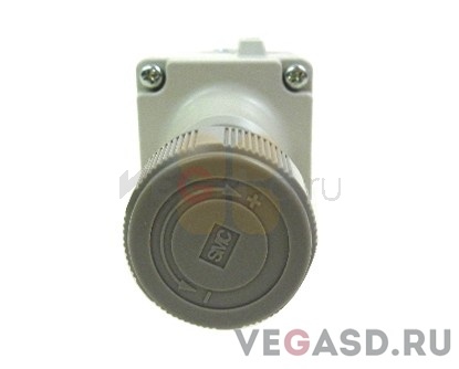 регулятор давления/GS Series Regulator Pressure 0-30 PSI