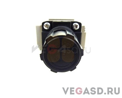 датчик/VUTEK Filter Reg Gauge with Bracket