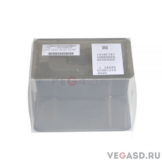 Печатающая головка/VS Series DX6/DX7 Printhead - 6701409010