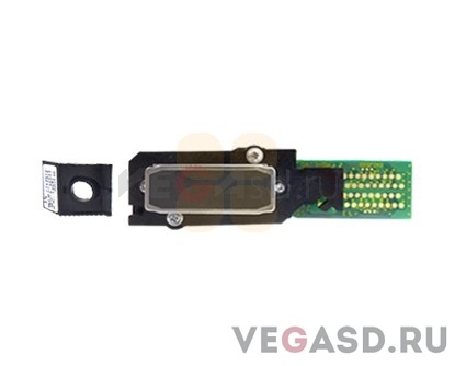 Печатающая головка/RJ-8000 Head Assy