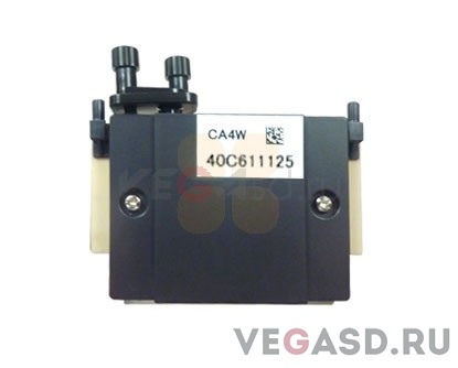 Печатающая головка/Rastek H650 Printhead CA4