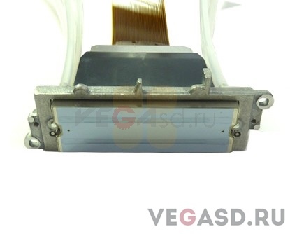 Печатающая головка/TS500-1800 Gen5 Printhead Assy Type-D