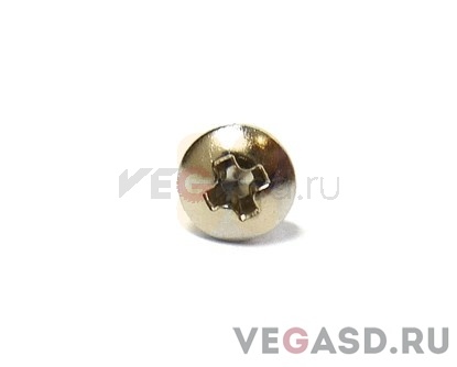 НАБОР винтов SC-545ex pagetitle=ФЕРМЕННАЯ КОНСТРУКЦИЯ M2*6 NI (100 шт.)