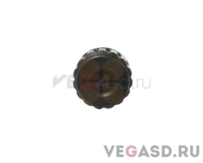 Стопорный винт PNS-501 SC-500 в сборе