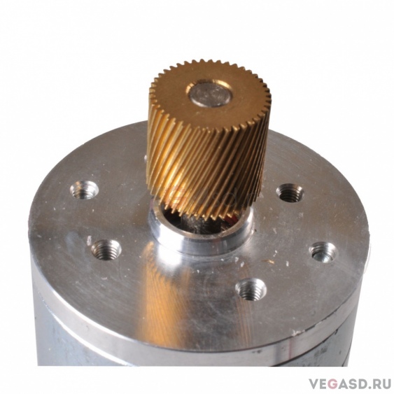 Сканирующий мотор для Roland/Roland Scan Motor 6700469020