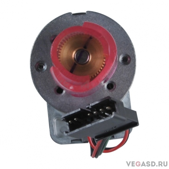 Сканирующий мотор Roland для VP-540/VP-300/RS-640 - 6700469020