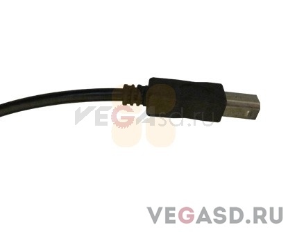 FINA 250Q Usb Head Data Cable