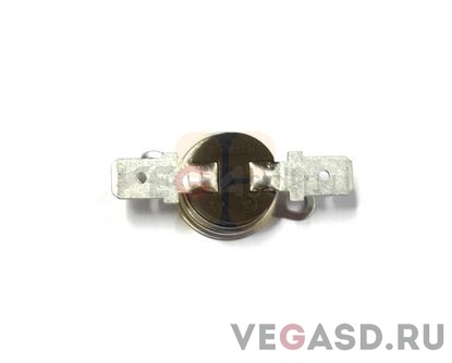 SJ-1000 Thermostat,Platen