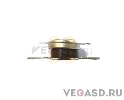 SJ-1000 Thermostat,Platen