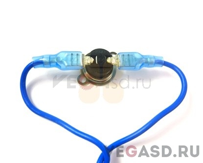 JV5 Print Thermostat Assy