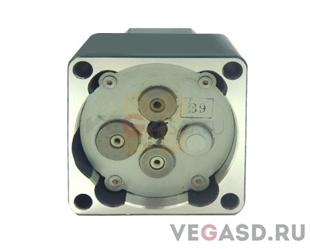 Двигатель(в сборе)/DGI Gear Box Assy (F)