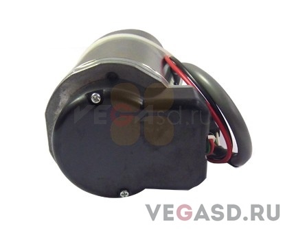 скан-мотор/SJ-1000 Assy, Scan Motor
