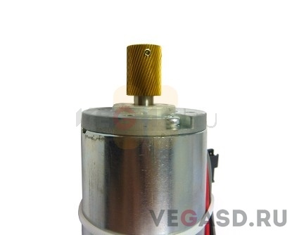 скан-мотор/SJ-1000 Assy, Scan Motor