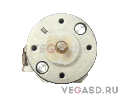 мотор(оси Х)/Spitfire 100 PF Motor Assy (X-Motor)
