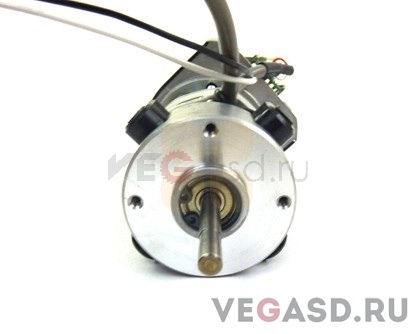 мотор(в сборе)/CG-130FX DC Motor Assy (RHOS)