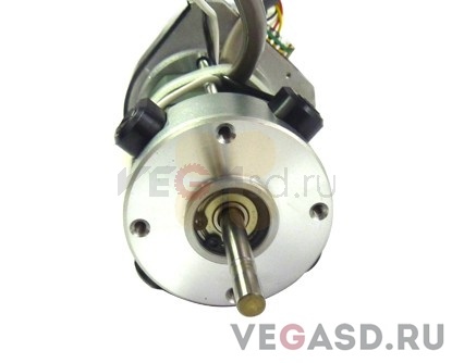 мотор(в сборе)/CG-160FX DC Motor Assy
