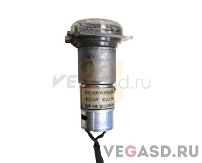 Teckstar-25 Pump Motor