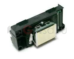 F158000 Печатающая головка Stylus Photo R1800